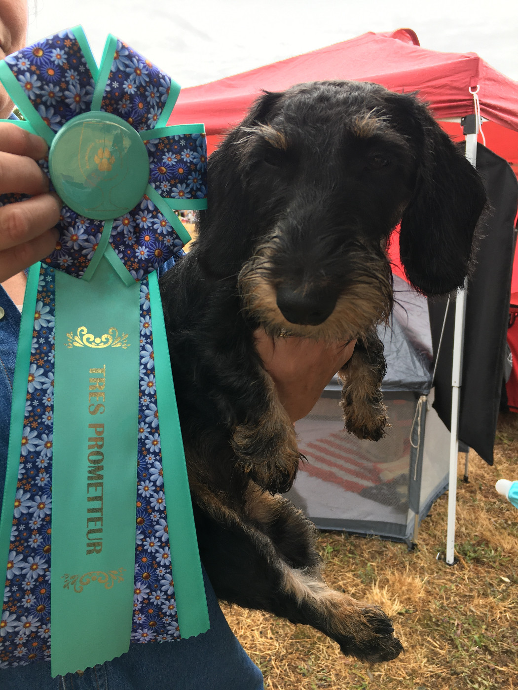 Vadrouille De la plaine aux lièvres