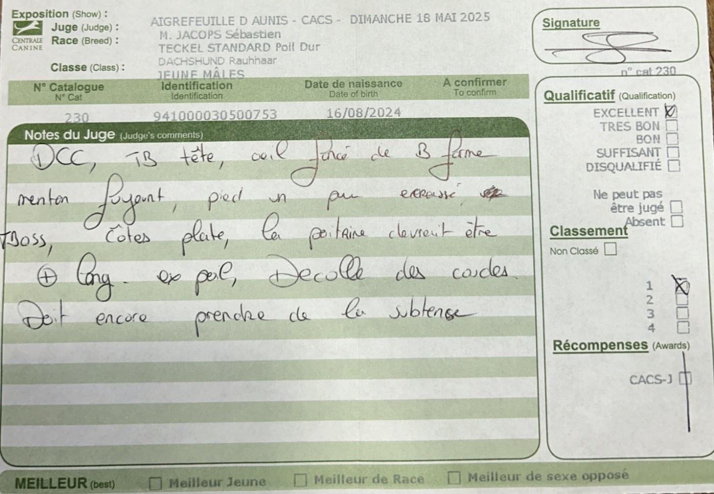 Darkan de los jaronales - 1er Excellent