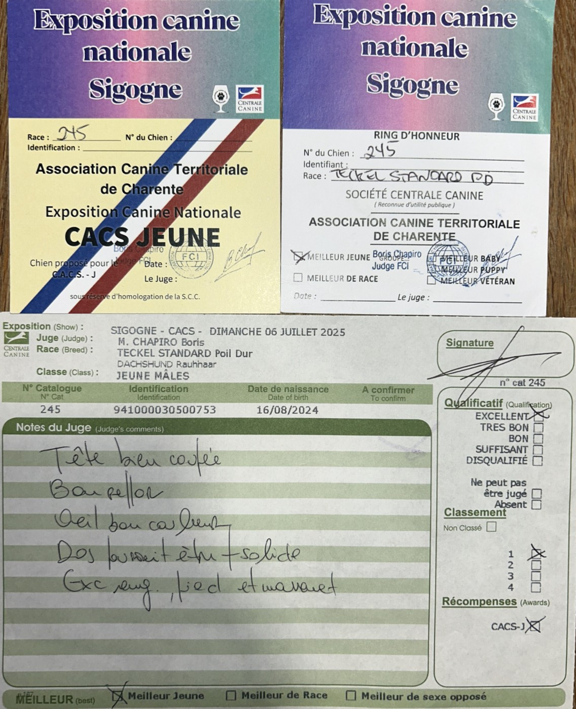 Darkan de los jaronales - 1er Excellent CACS-J Meilleur Jeune - 2ème Meilleur Jeune Groupe 4