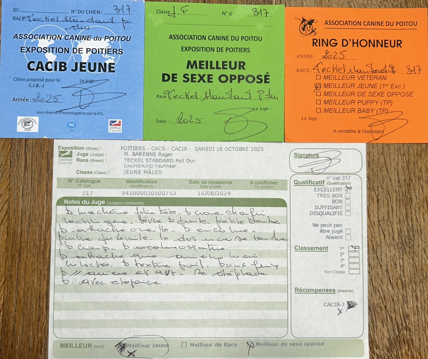 Darkan de los jaronales - 1er Excellent CACIB-J Meilleur Jeune - 3ème Meilleur Groupe 4