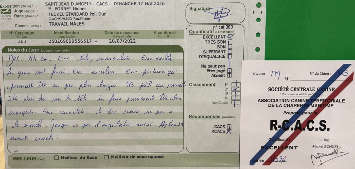 Tango De L'Echo De La Braconne - 2er Excellent RCACS