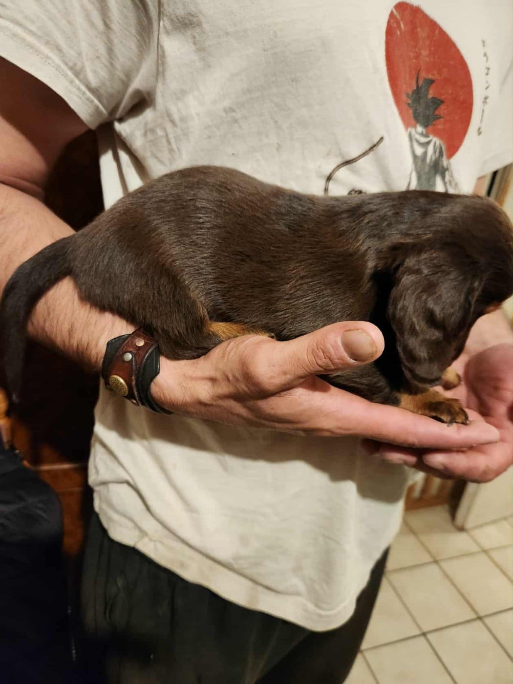 alléria des vents salés