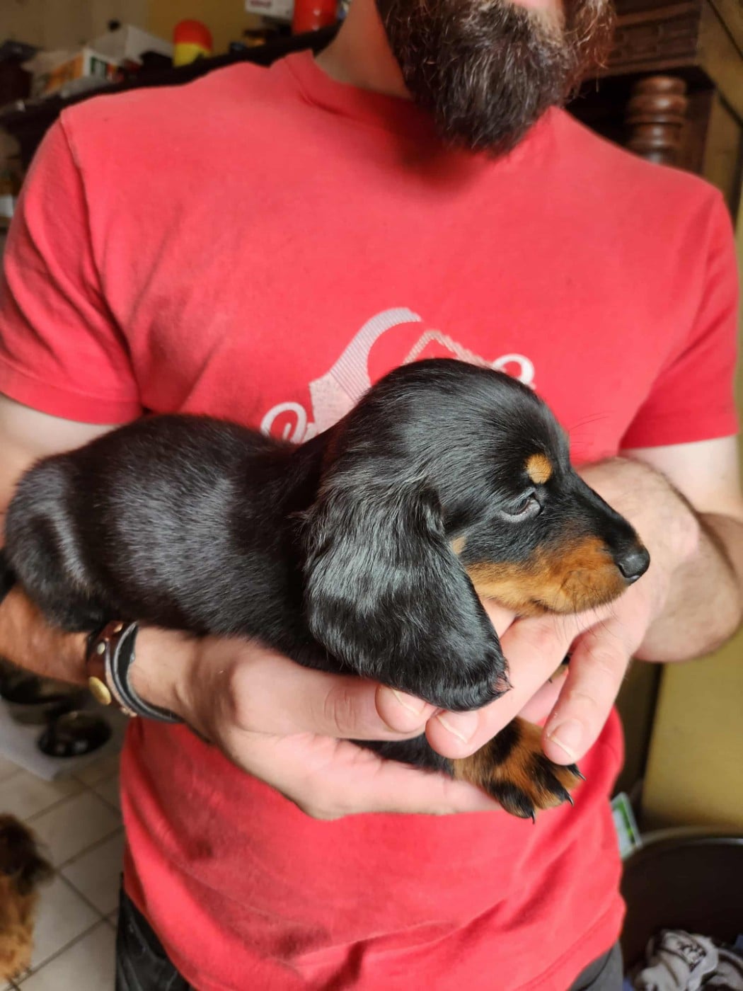 arthas des vents salés