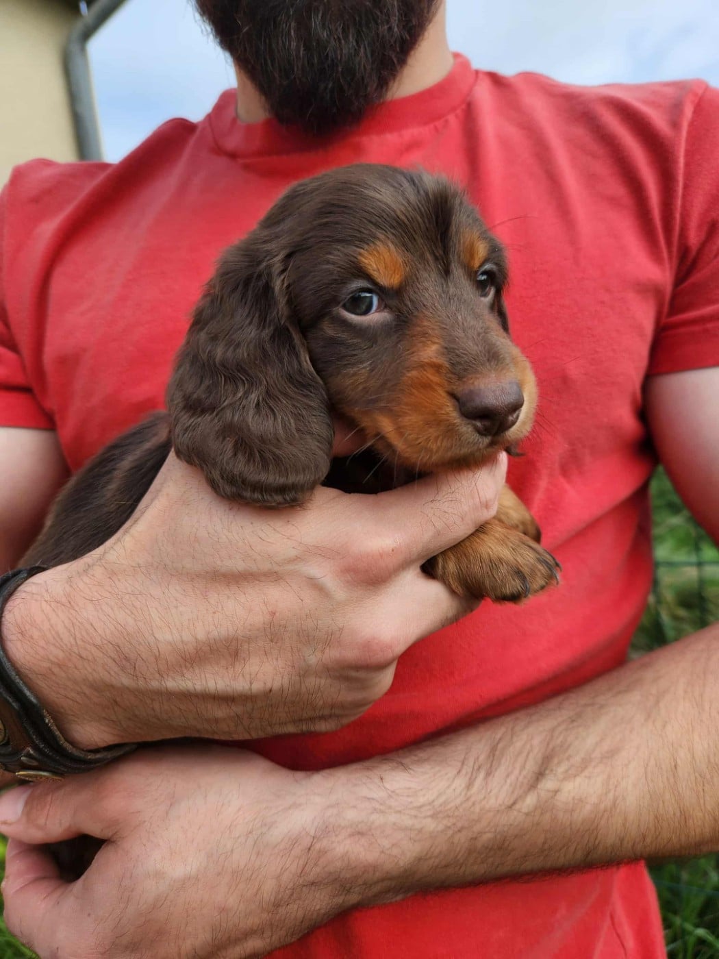 akama des vents salés