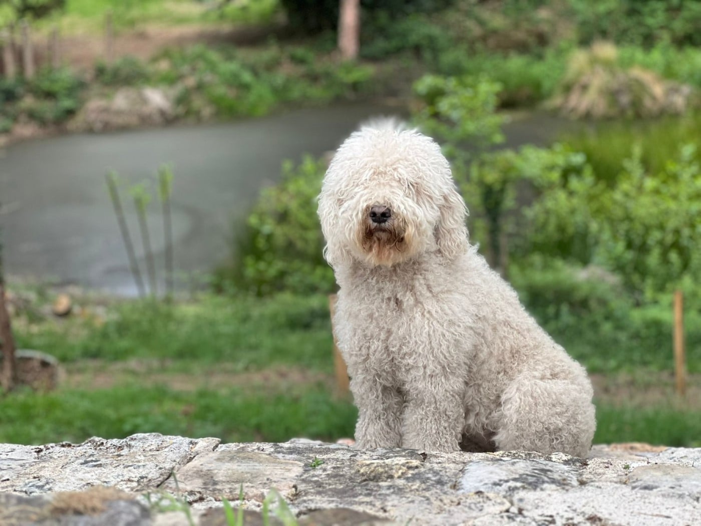 PLEZOU VOM SEIDENBERG