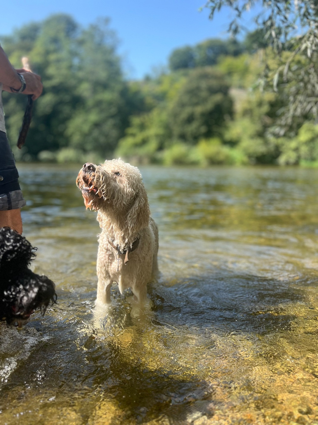 PLEZOU VOM SEIDENBERG