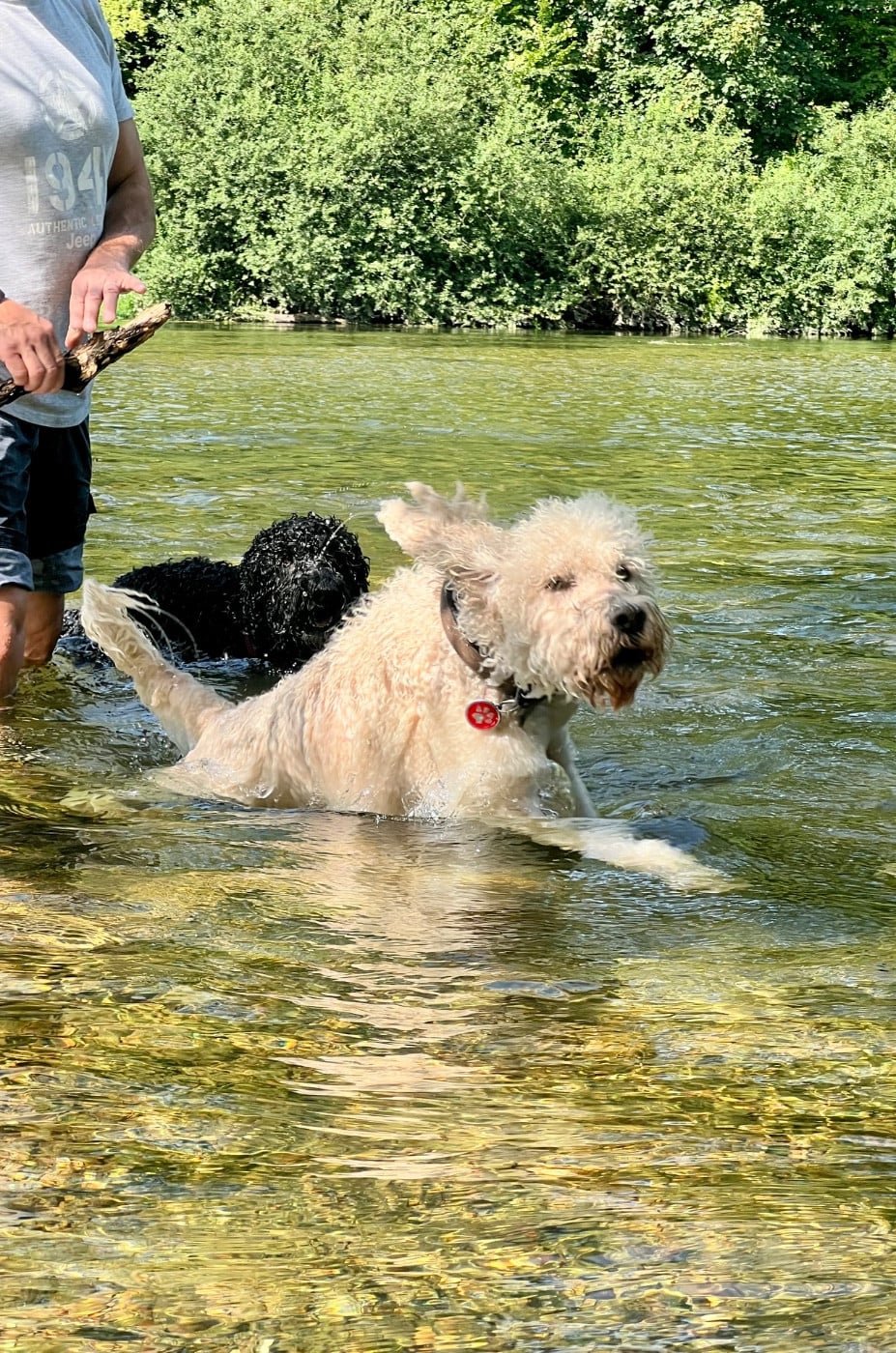 PLEZOU VOM SEIDENBERG