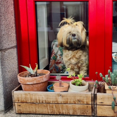 De La Garenne Aux Chayottes