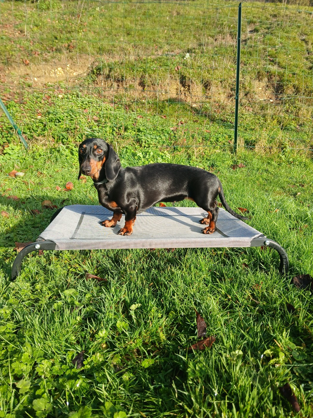 Unique Du Clos De La Foliette