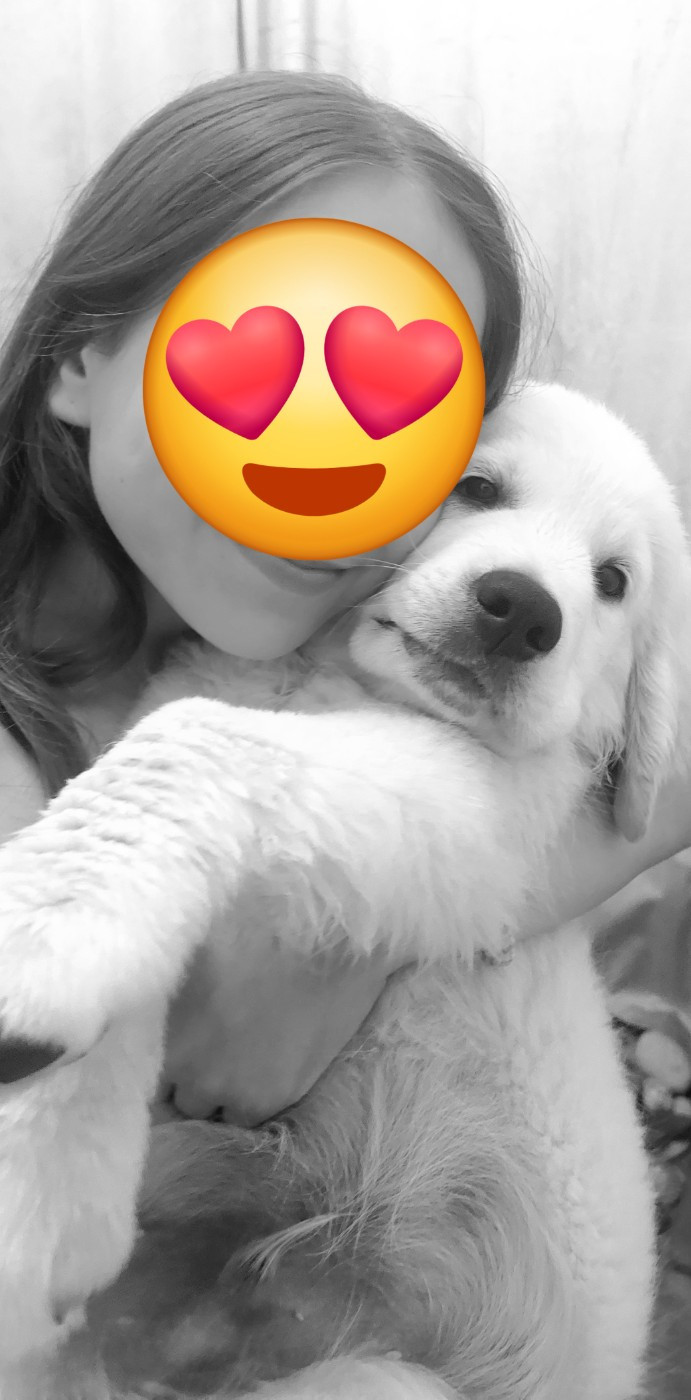 Valet de coeur dit Max Du Royaume De Goldie