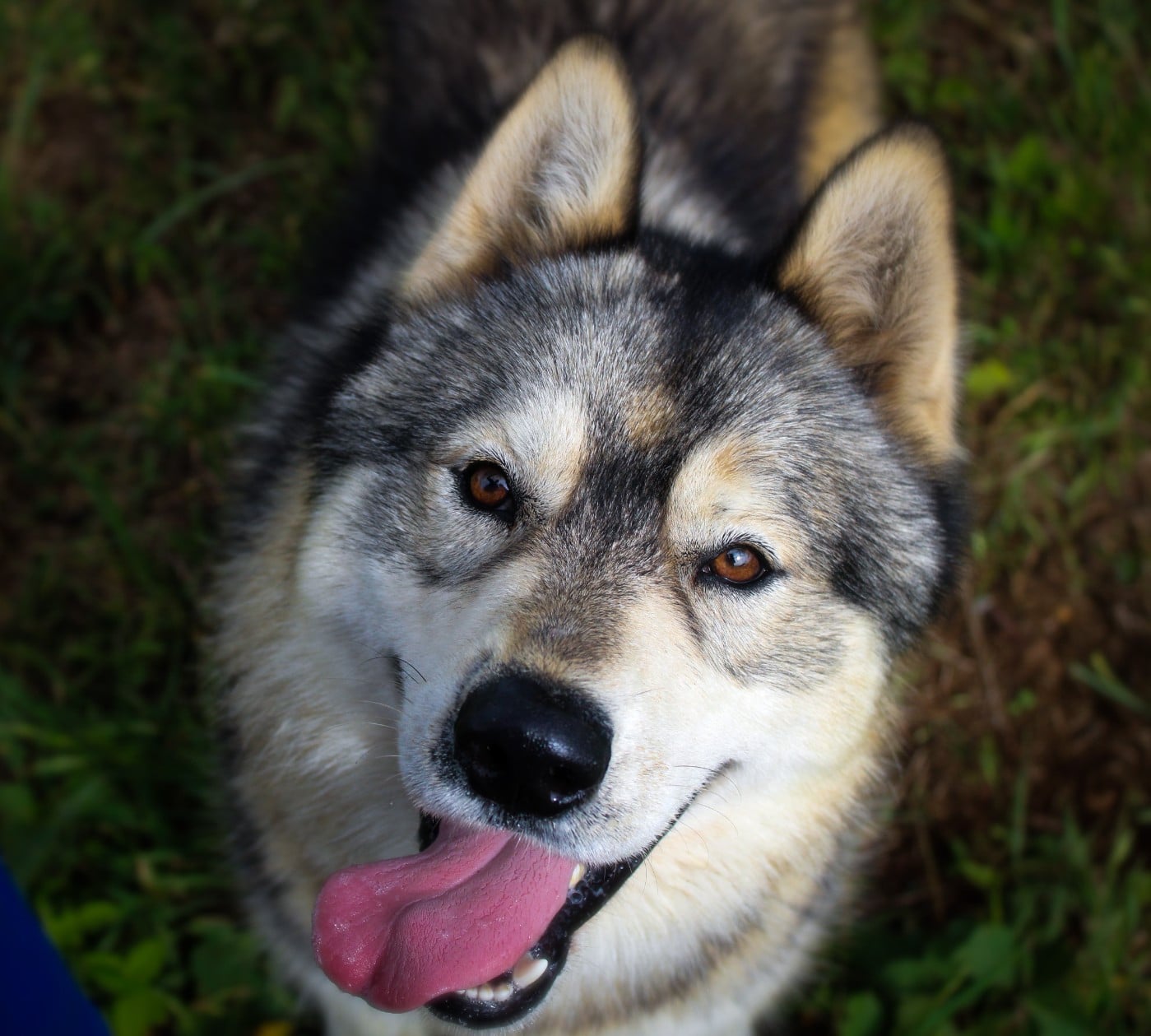 Voldemort reborn Des Etoiles Des Glaciers