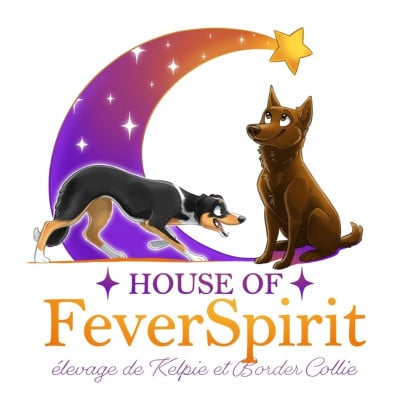 House Of Fever Spirit