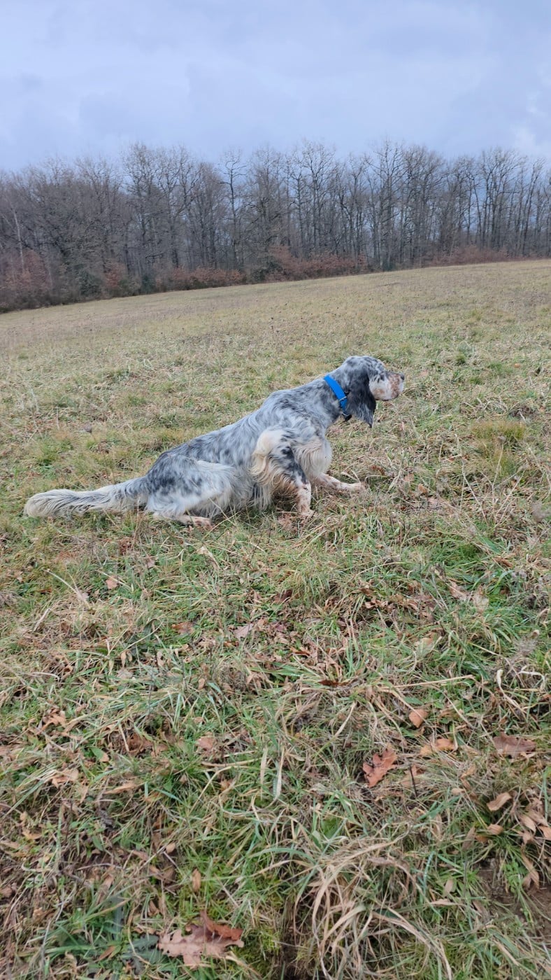 Ugarte Des Sentiers De La Douyne