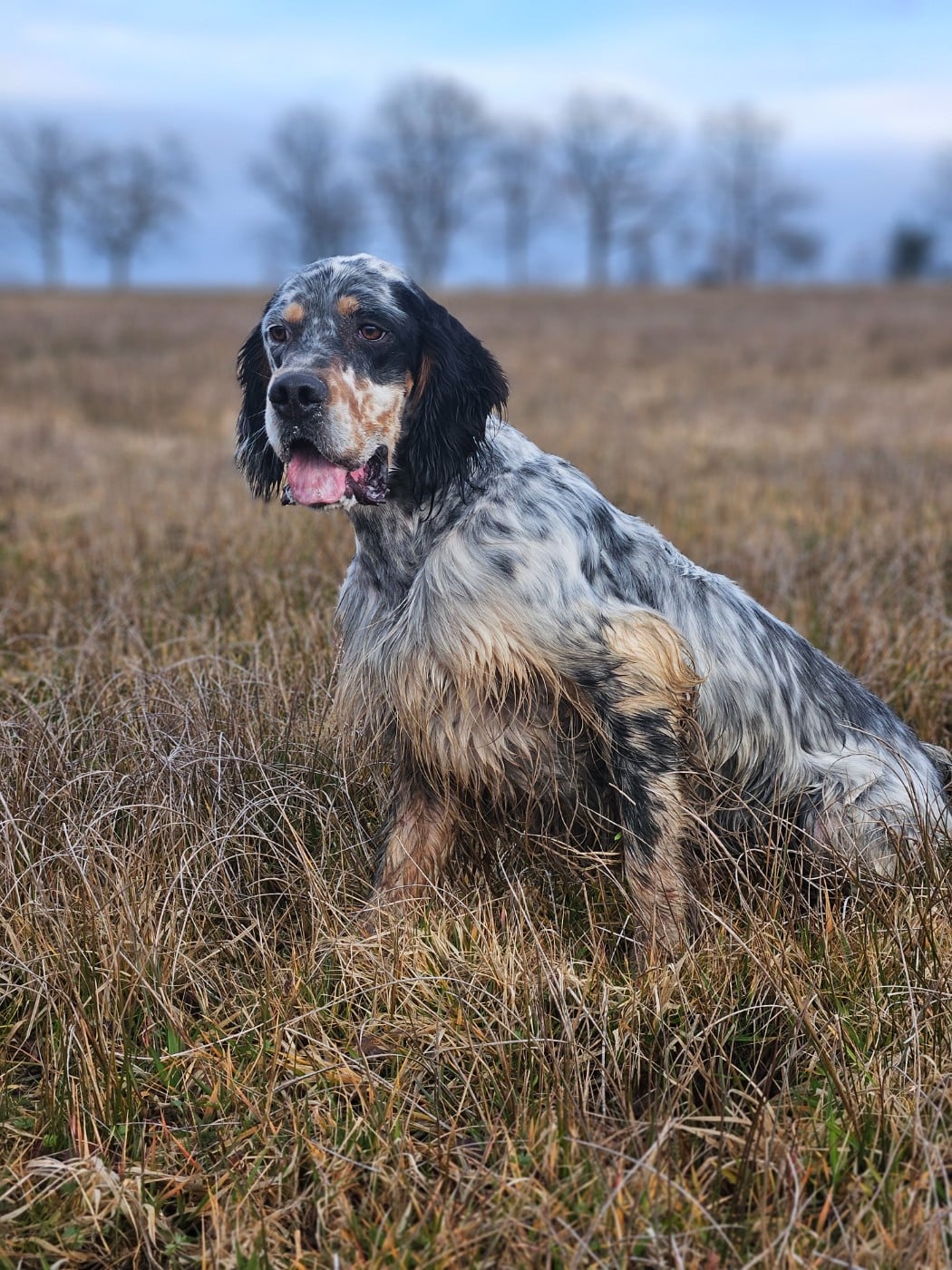Ugarte Des Sentiers De La Douyne