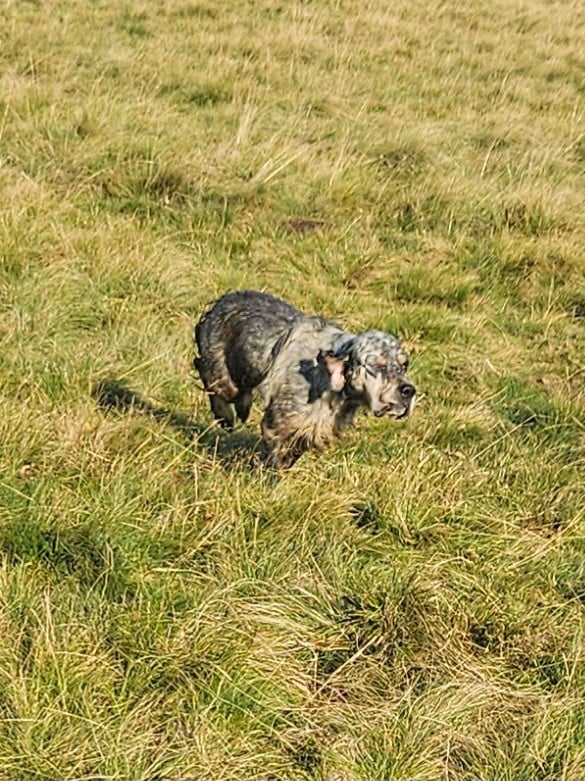 Ugarte Des Sentiers De La Douyne