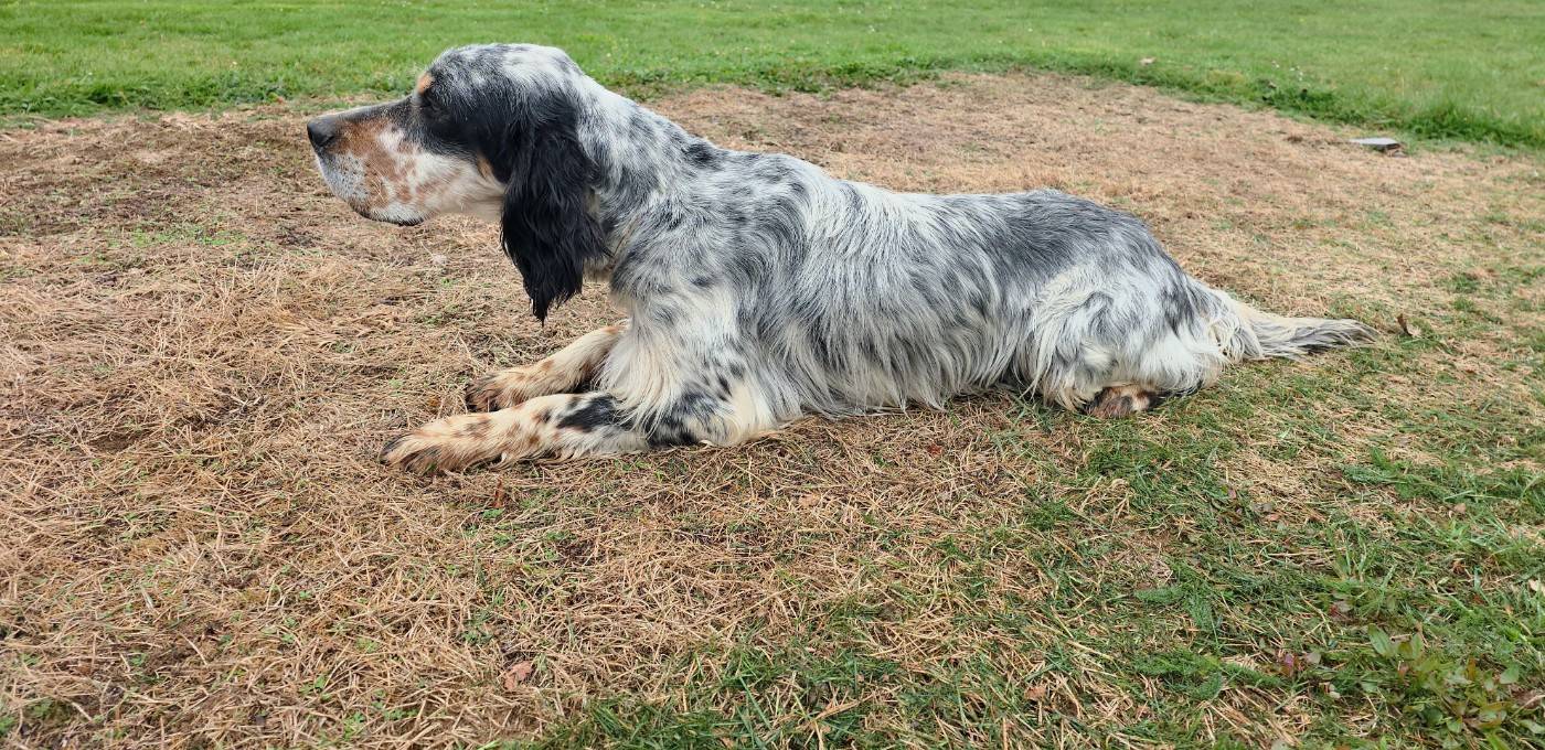 Ugarte Des Sentiers De La Douyne