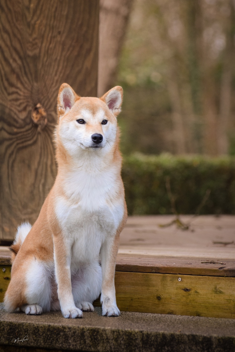 Via Go Gin No Tamashii - 2 TP