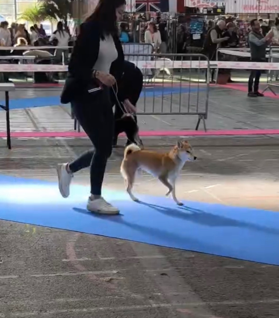 Via Go Gin No Tamashii - 2EME TB