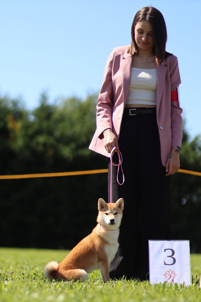 Via Go Gin No Tamashii - 1ERE TP + BOB + 3EME BIS BABY