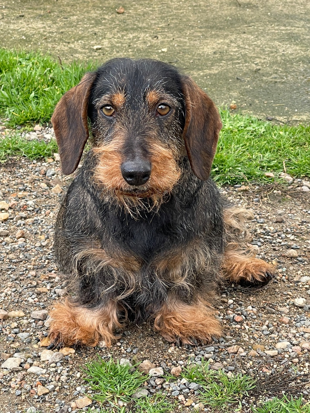 Publication : De La Plaine Des Muscatelles Auteur : Aude Mouhet