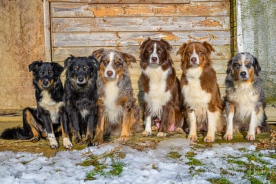 of the smiling house