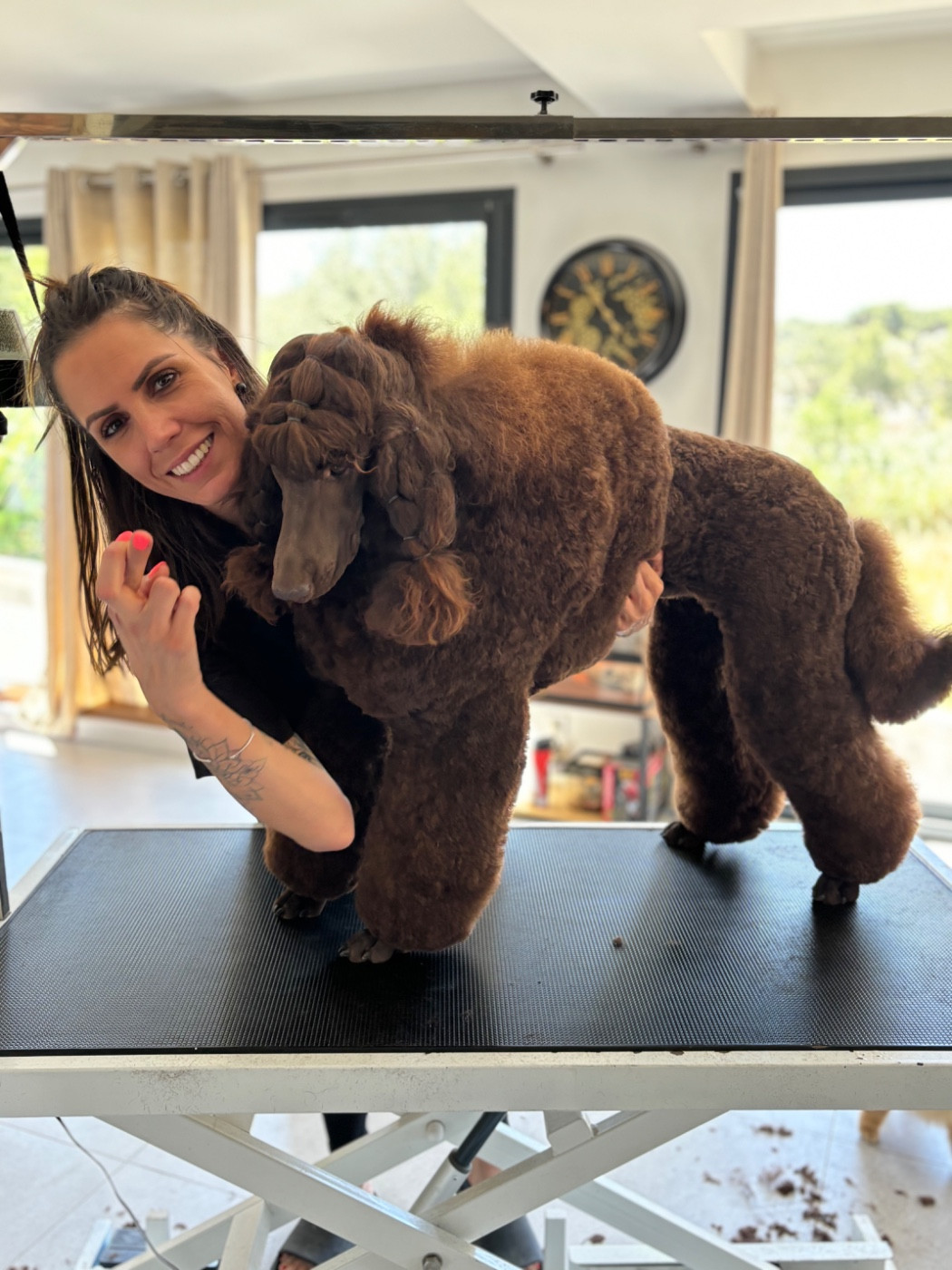 CH. Starlight Royal Dream U'freyja