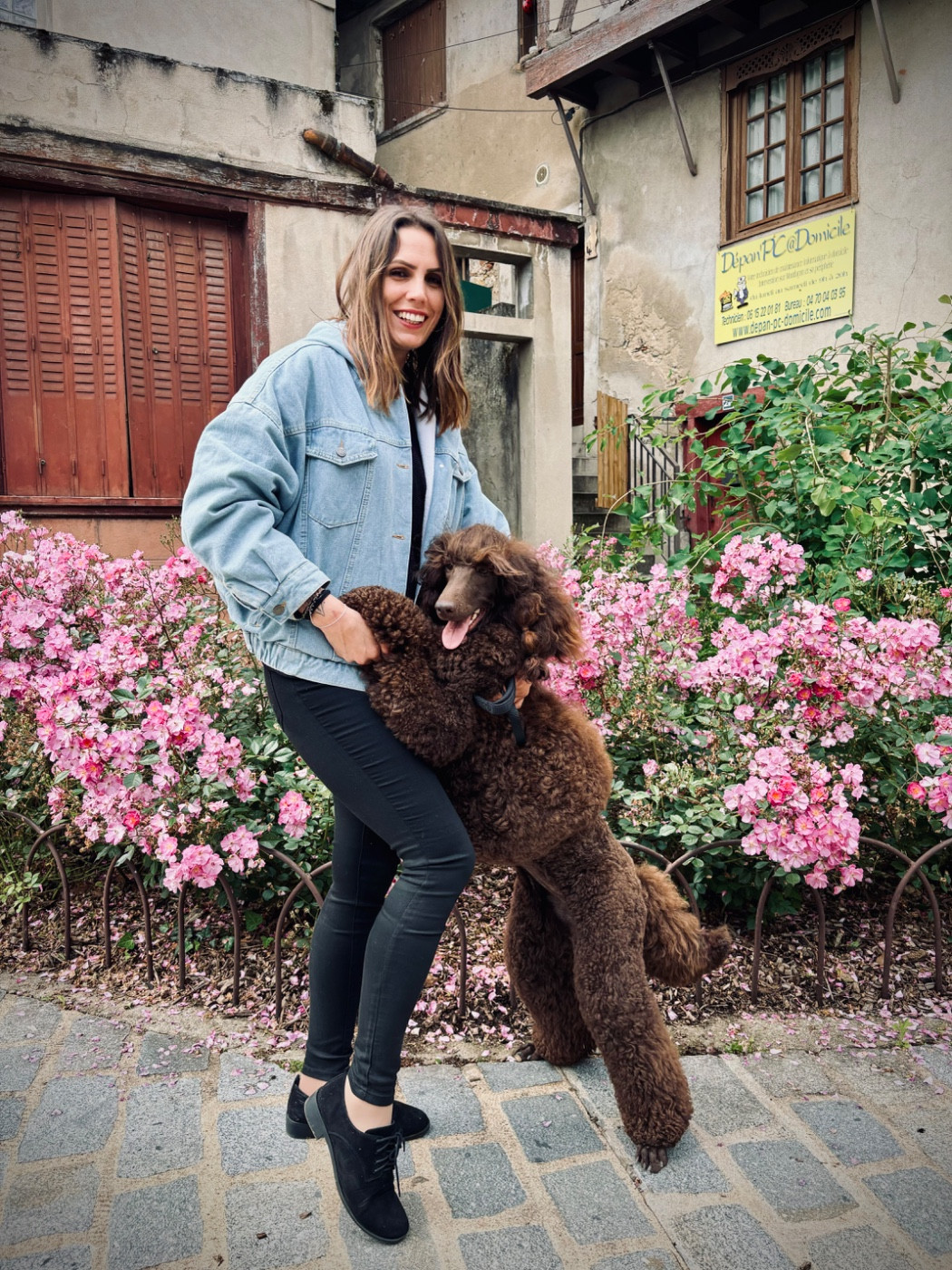 CH. Starlight Royal Dream U'freyja