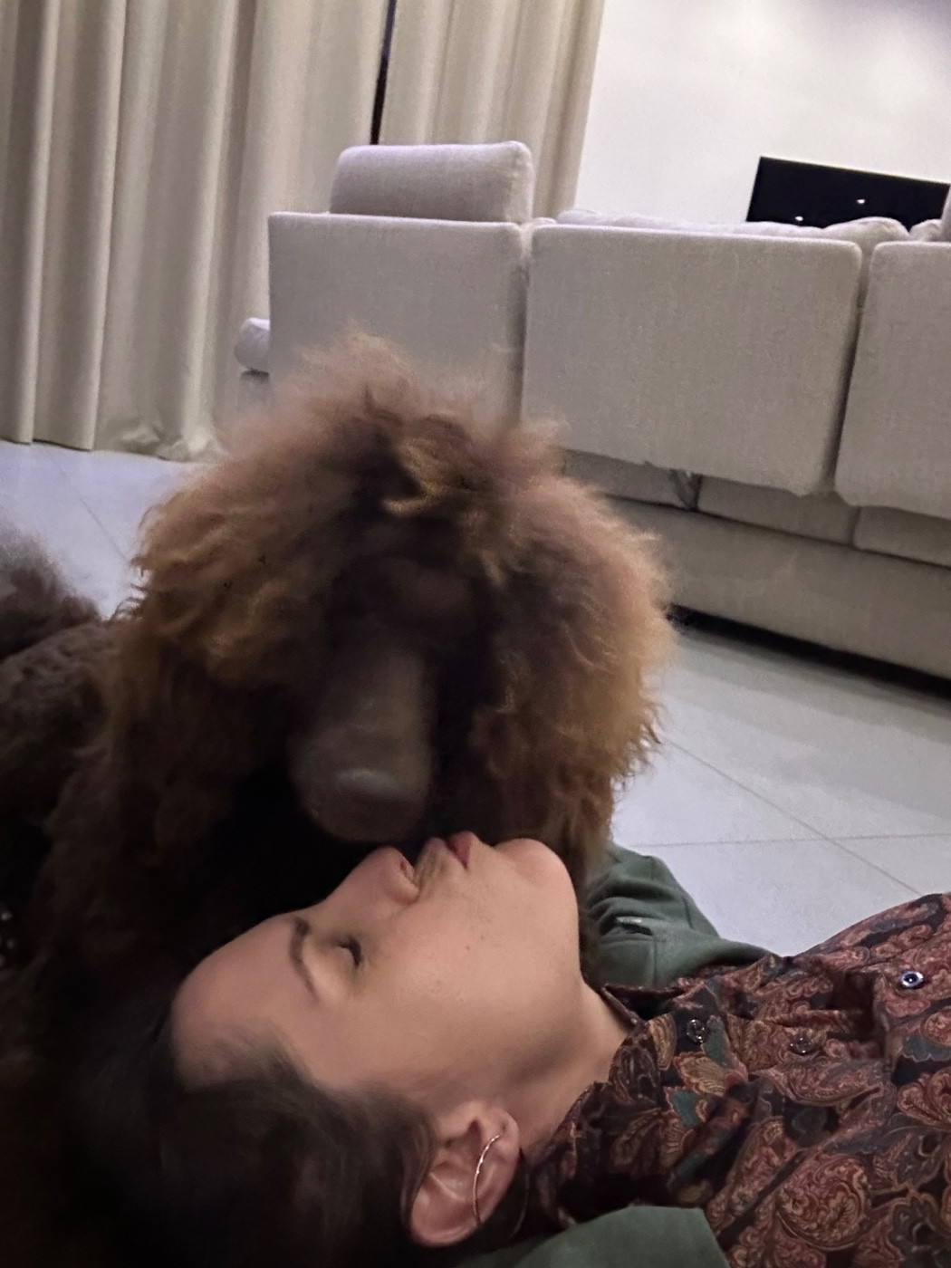 CH. Starlight Royal Dream U'freyja