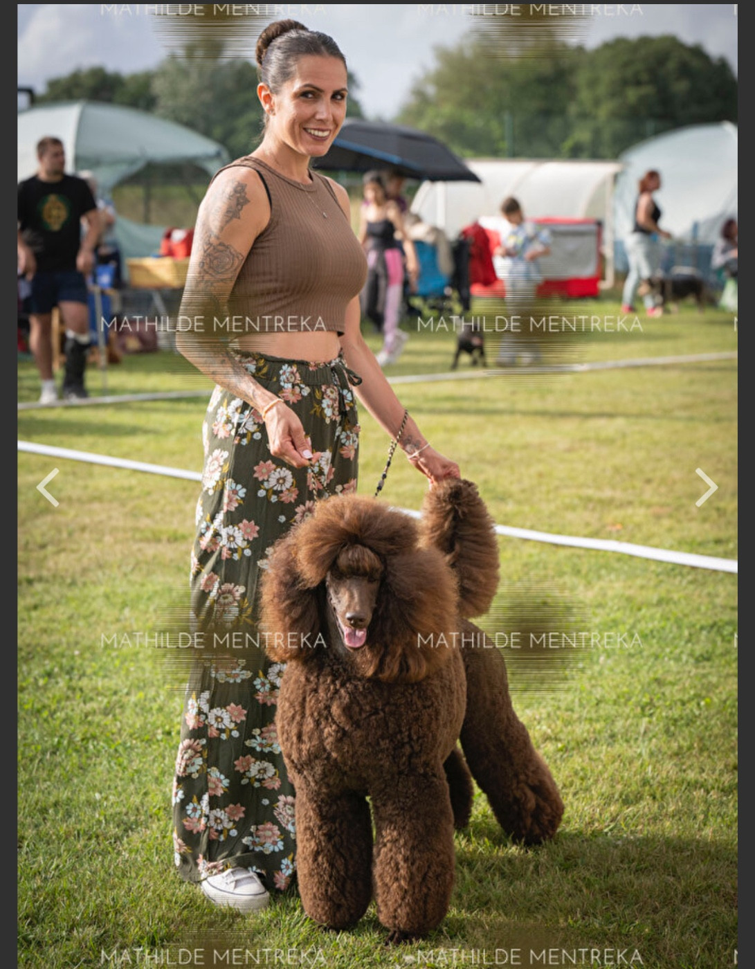 CH. Starlight Royal Dream U'freyja