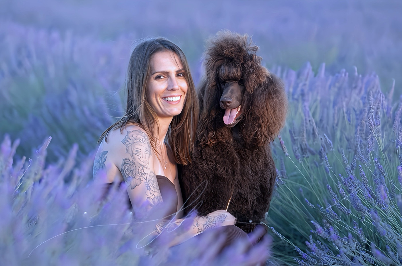 CH. Starlight Royal Dream U'freyja