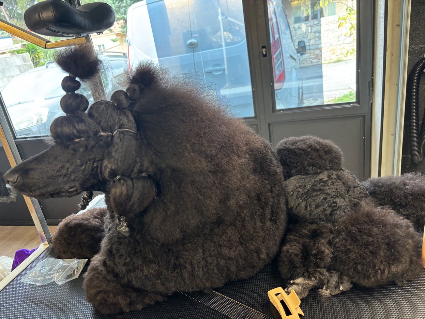 V'ROLO Domaine du parc