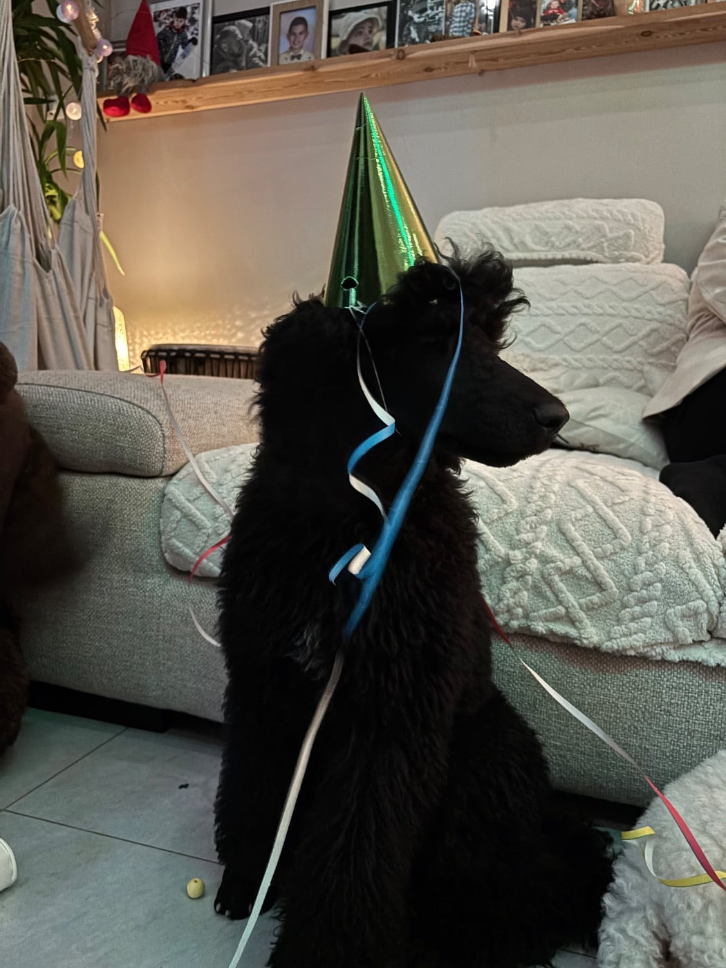 V'ROLO Domaine du parc