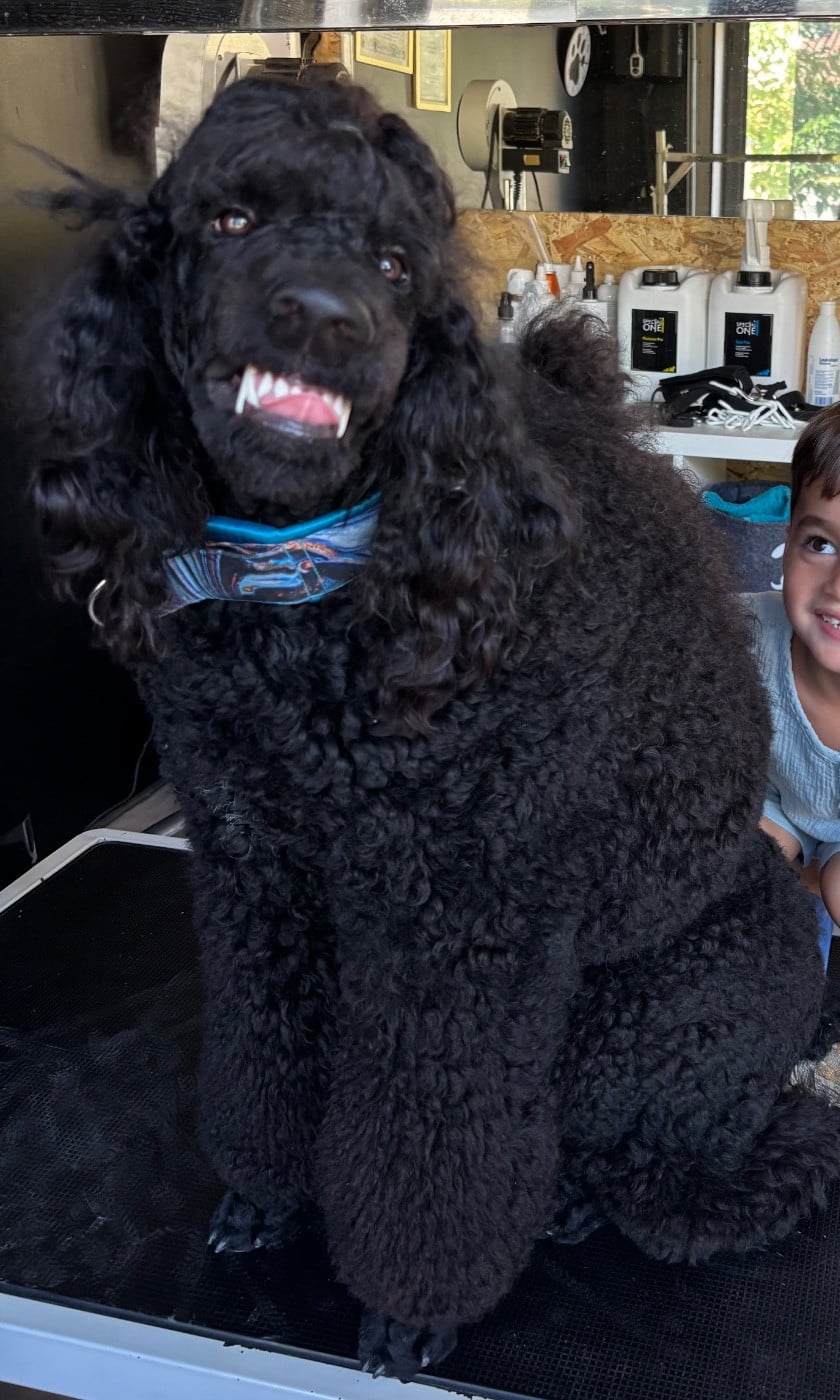 V'ROLO Domaine du parc