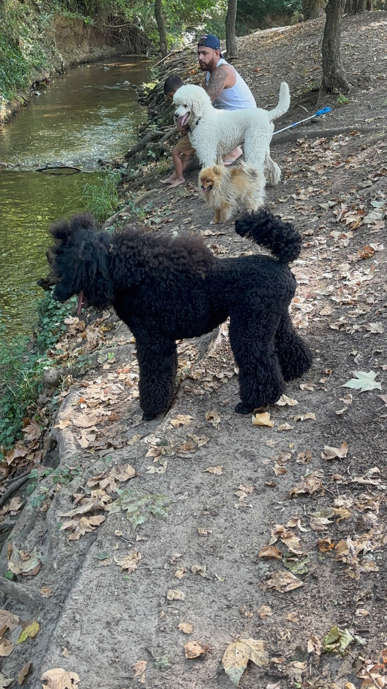 V'ROLO Domaine du parc