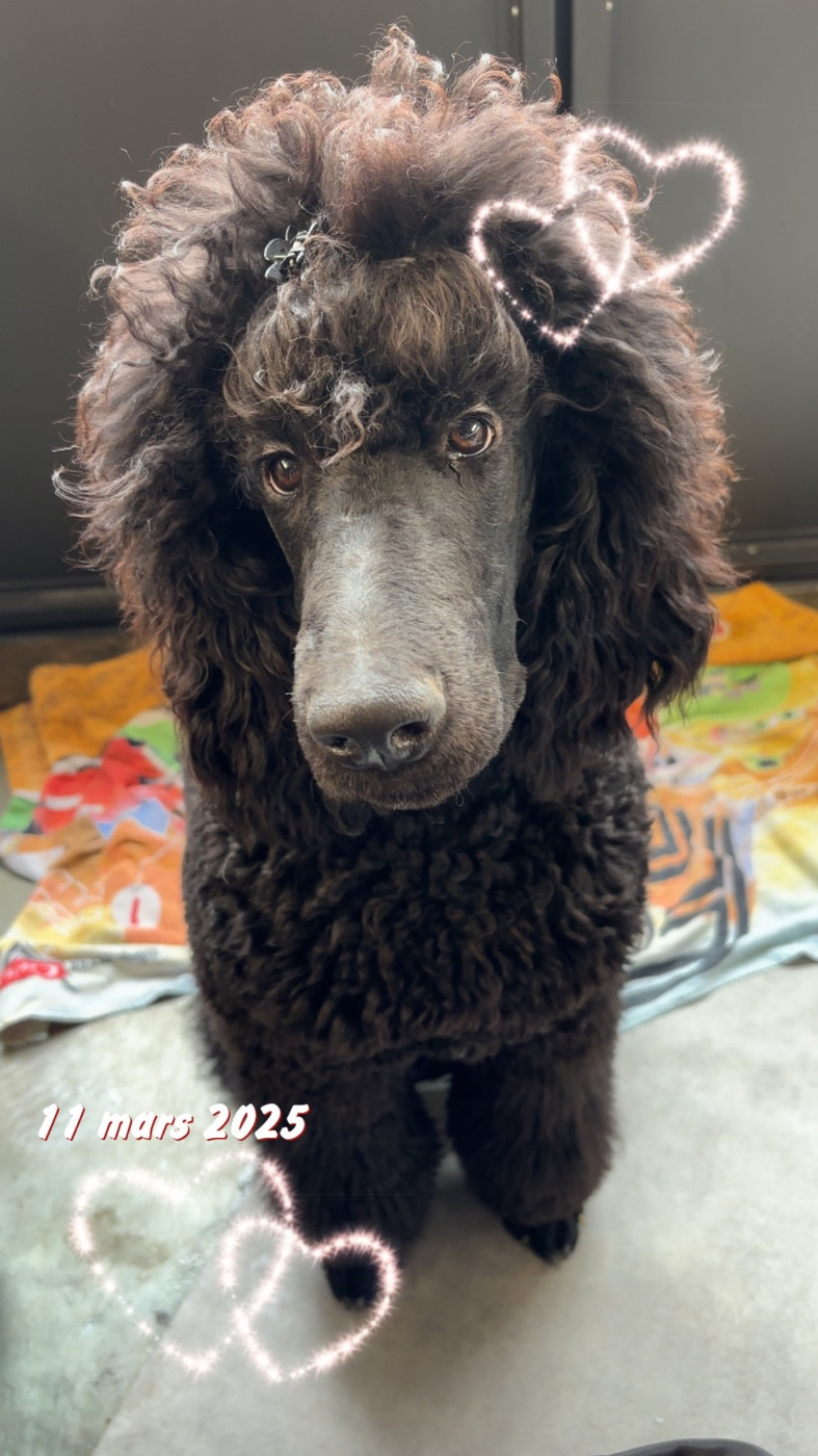 V'ROLO Domaine du parc