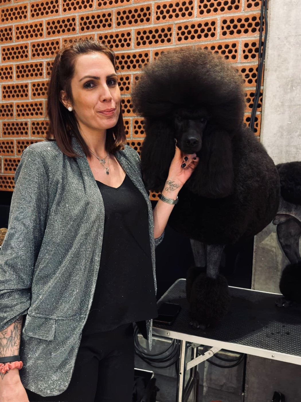 V'ROLO Domaine du parc