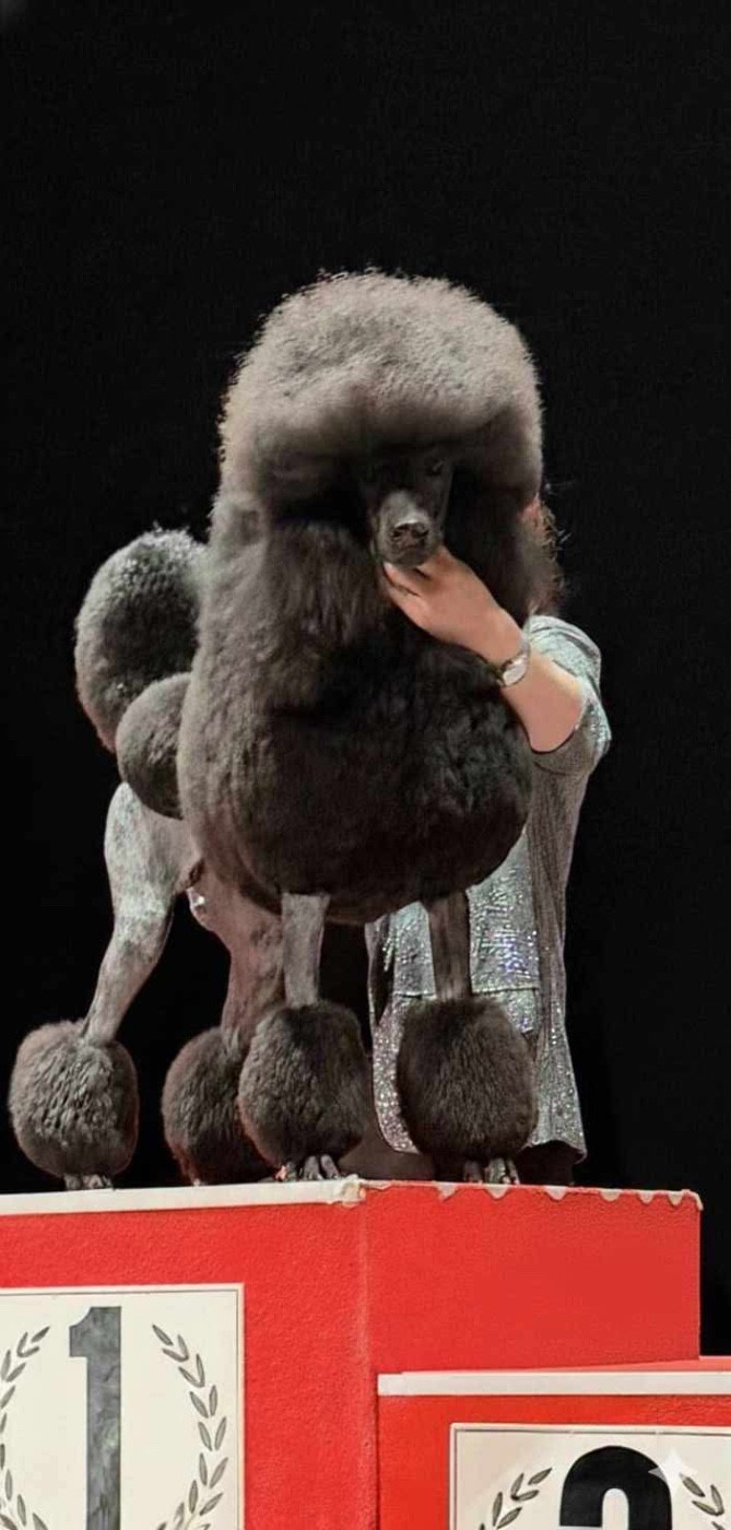 V'ROLO Domaine du parc