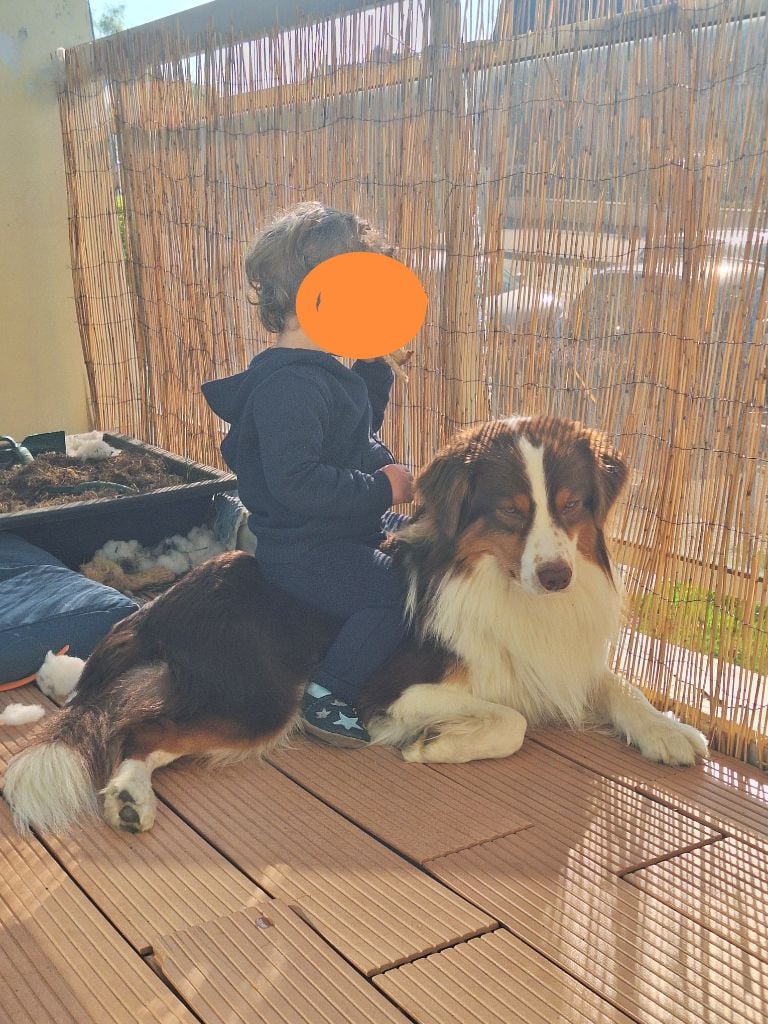 Publication : Valentine Hournau Auteur : Hournau Valentine