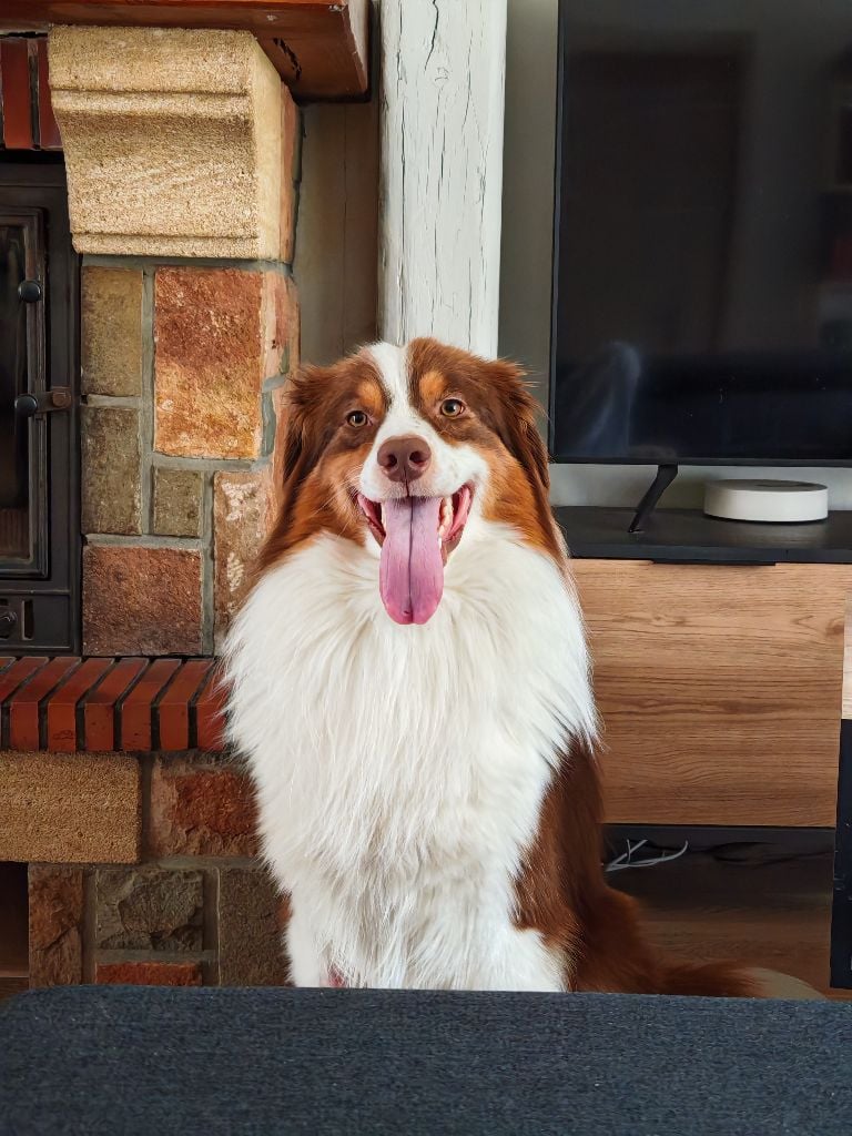 Publication : Valentine Hournau Auteur : Hournau Valentine