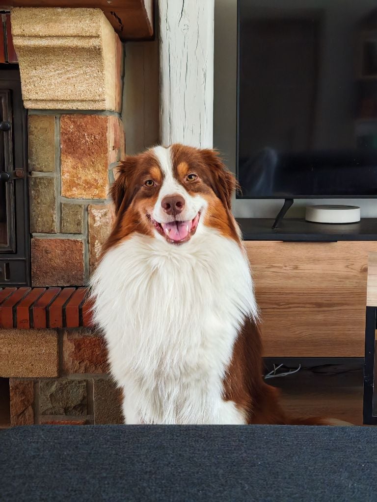 Publication : Valentine Hournau Auteur : Hournau Valentine