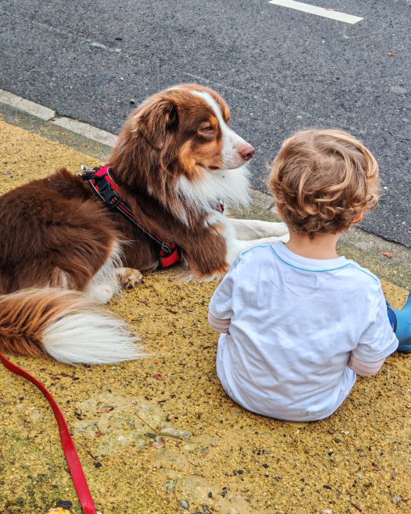 Publication : Valentine Hournau Auteur : Hournau Valentine