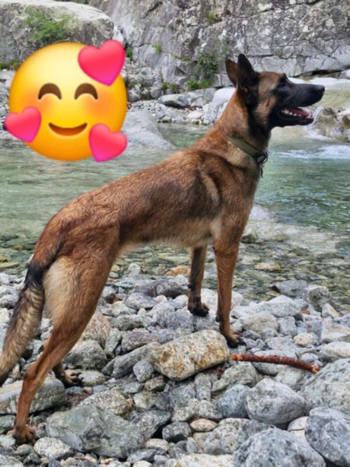 Timpesta de la balastiere du veron