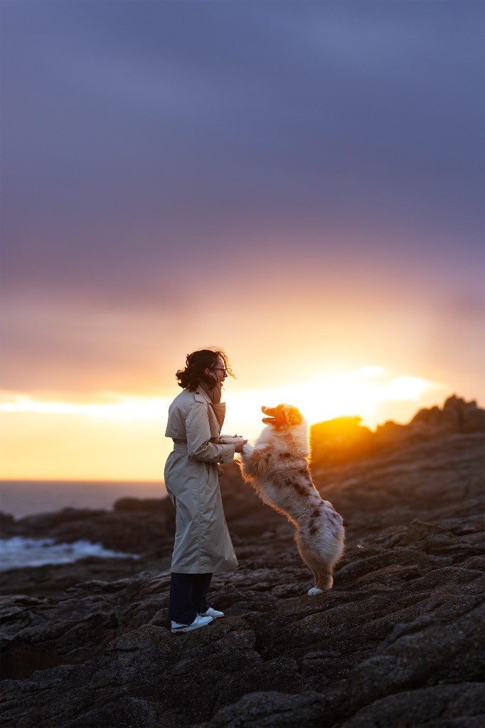 Everest for kodaline & aboréal @ Mystic Fire