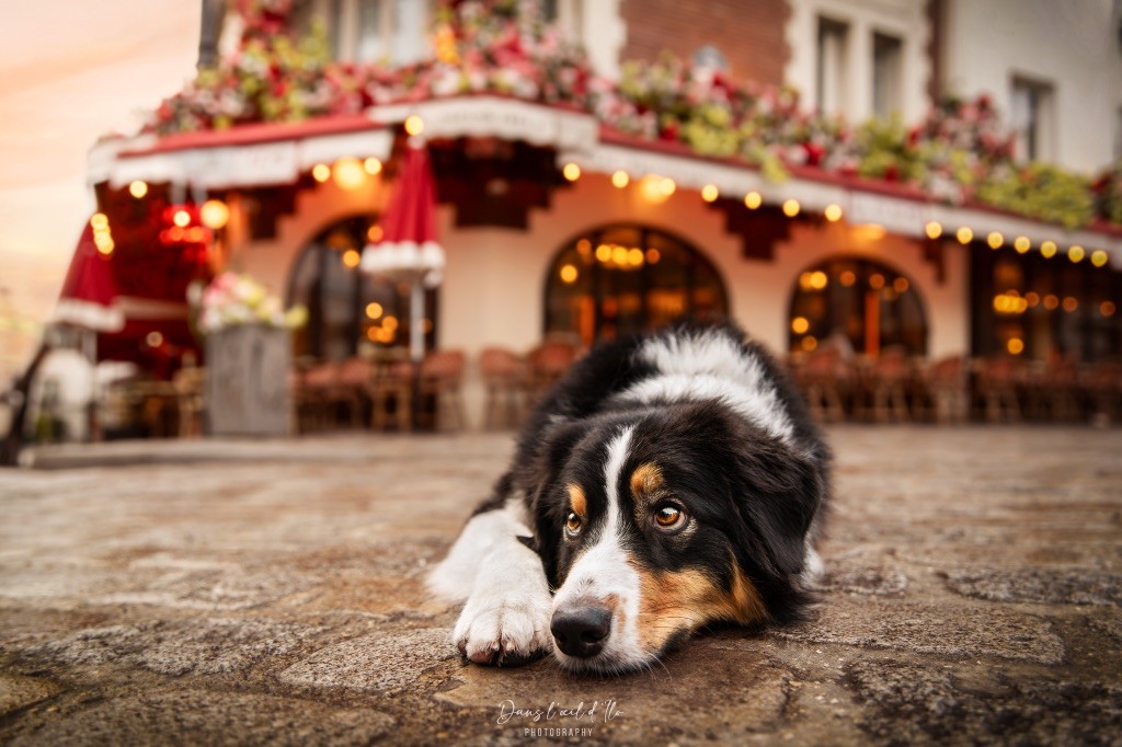 Kodaline The sunny moon @ skyron