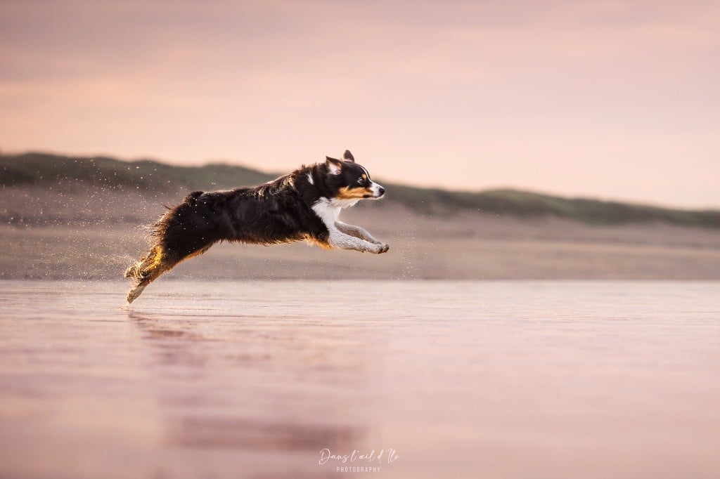 Kodaline The sunny moon @ skyron