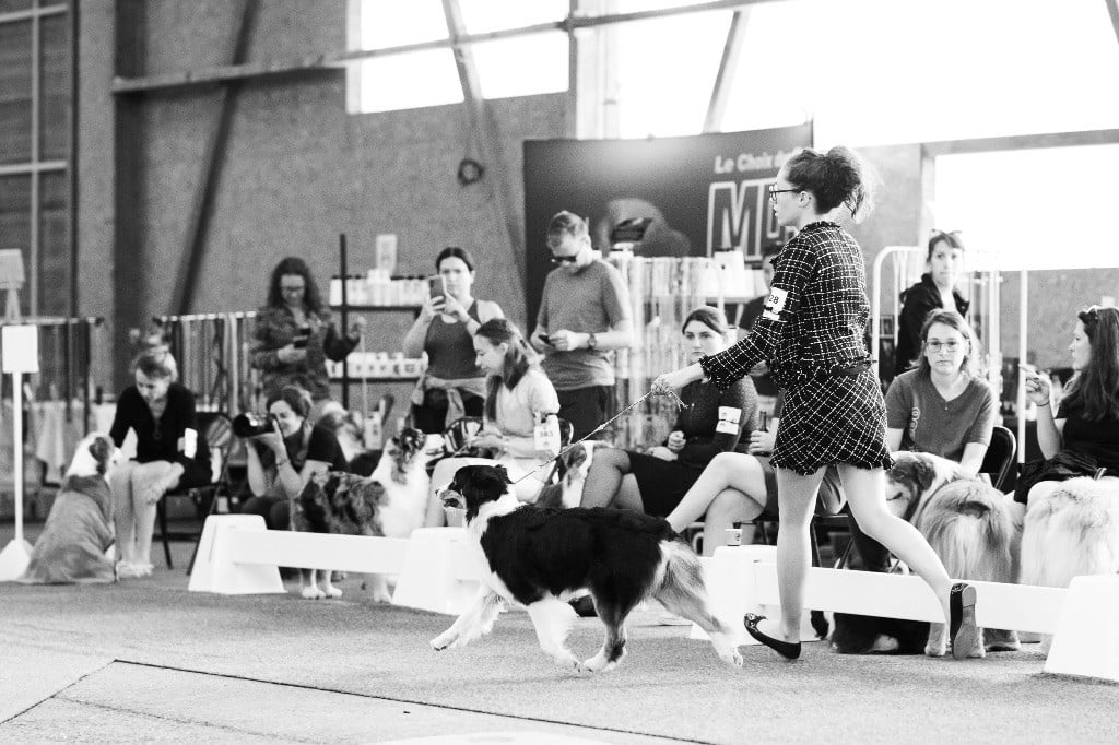 Kodaline The sunny moon @ skyron