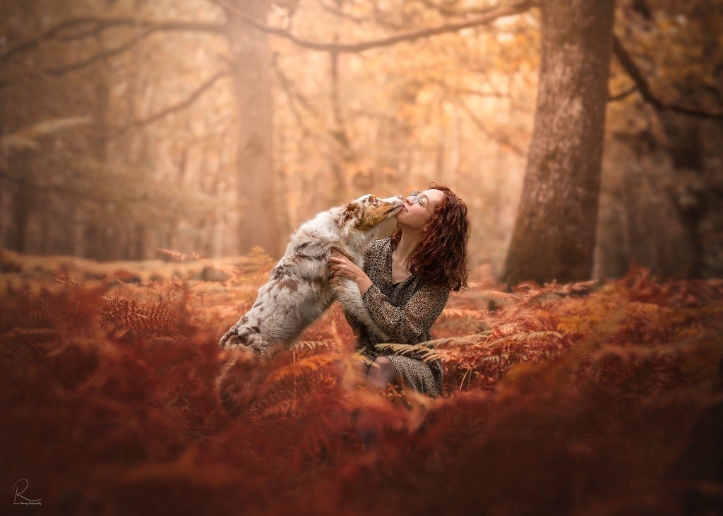 Everest for kodaline & aboréal @ Mystic Fire