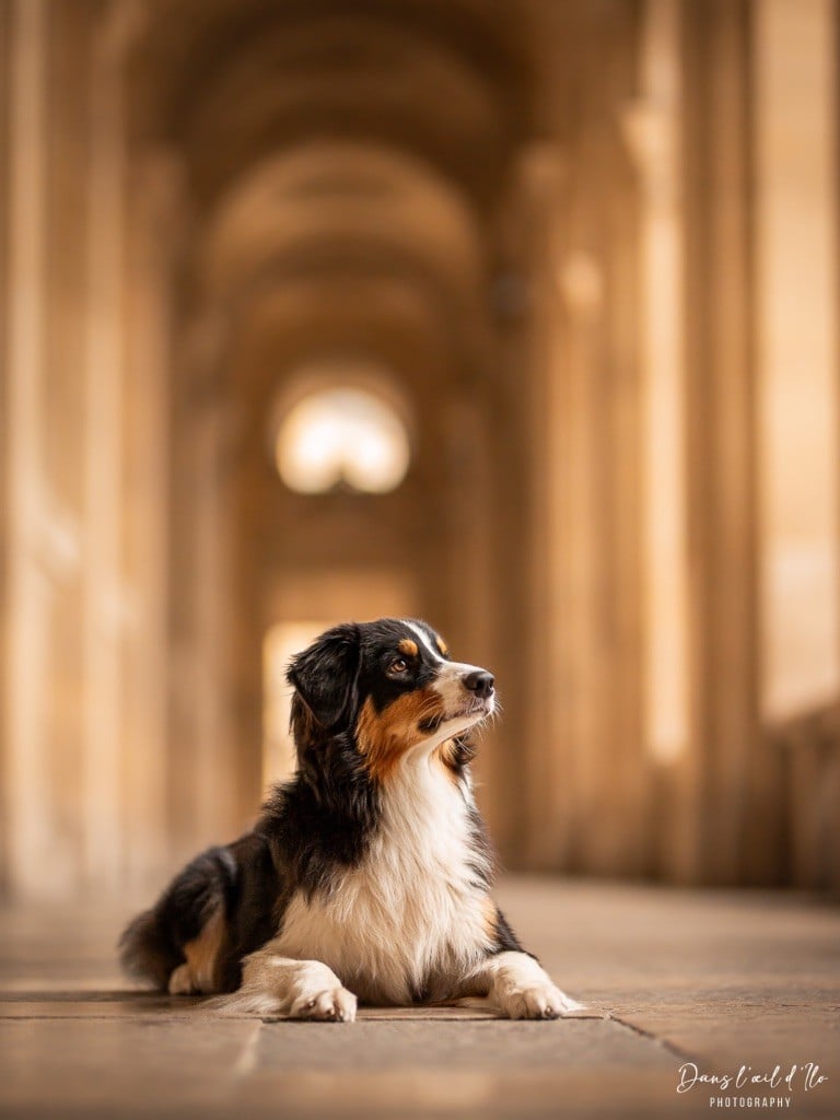 Kodaline The sunny moon @ skyron