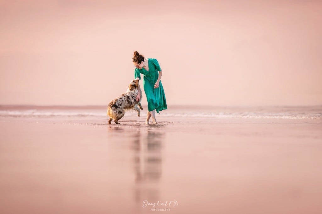 Everest for kodaline & aboréal @ Mystic Fire