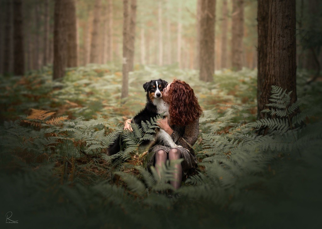 Kodaline The sunny moon @ skyron